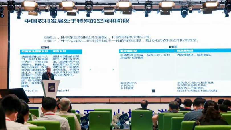 Rural Revitalization Through Tourism