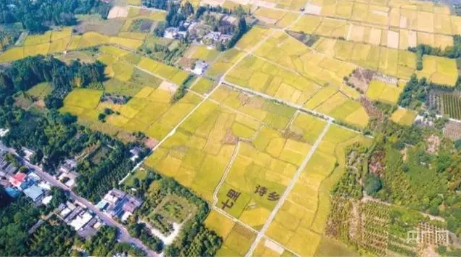 2022 is the year of the travel rebound – Tripadvisor report