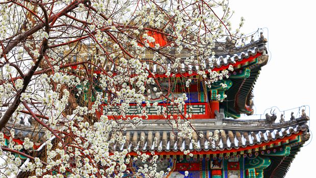 同程旅行2021年财报：核心业务恢复优于行业