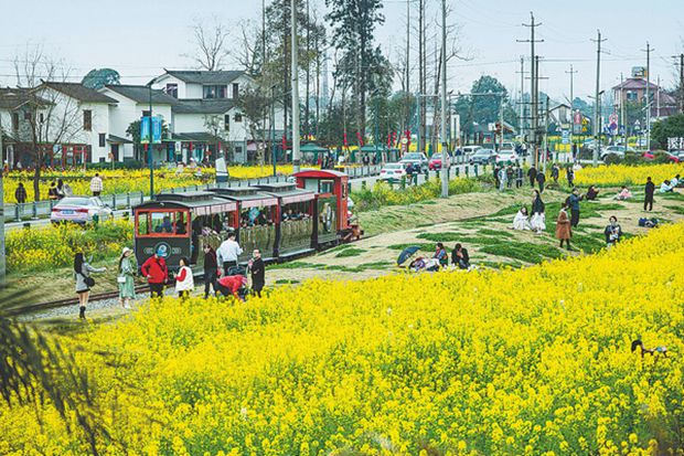 China’s tourism recovery slows on Covid-19 travel restrictions