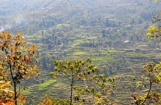 吉林振兴这五年|绿水青山书彩卷——长白山保护开发区五年来经济社会发展综述 