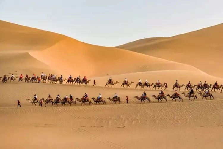 会员周报：第二十二届中国文旅全球论坛在深圳召开；携程集团与印度尼西亚旅游与创意经济部签署合作协议；大漠敦煌：旅游旺季来临...