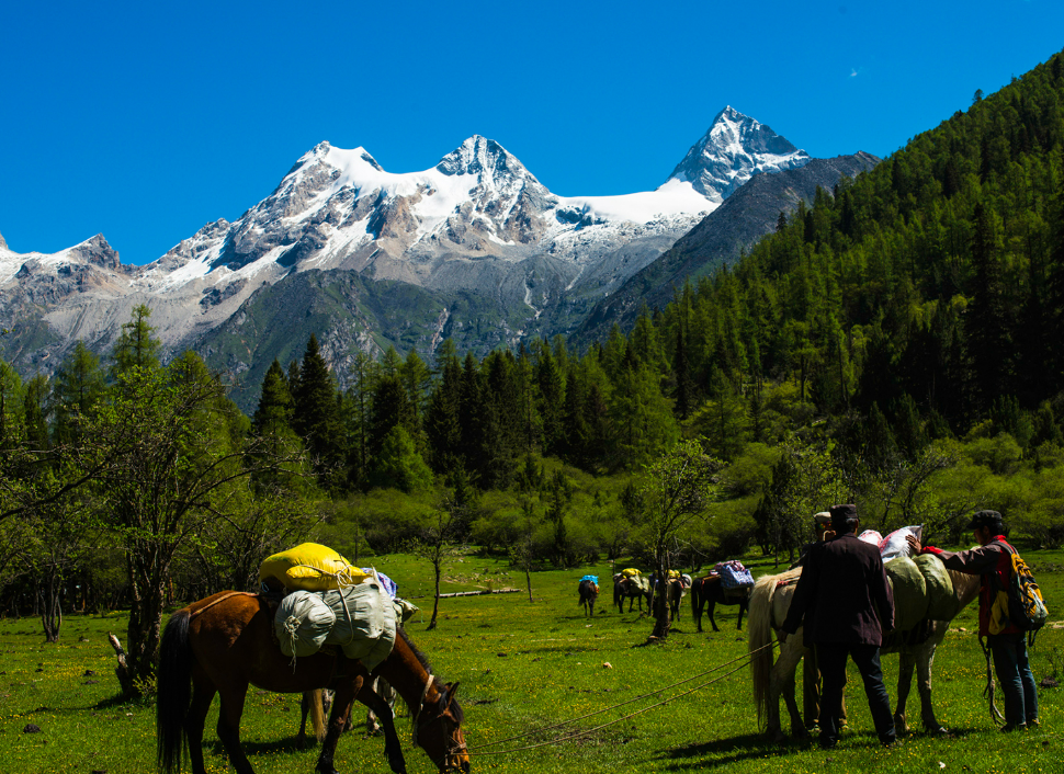 会员周报：四姑娘山正式启动世界地质公园创建工作；重庆今夏将推出近200项文化和旅游活动；黄山风景区玩转支付宝流量密码...