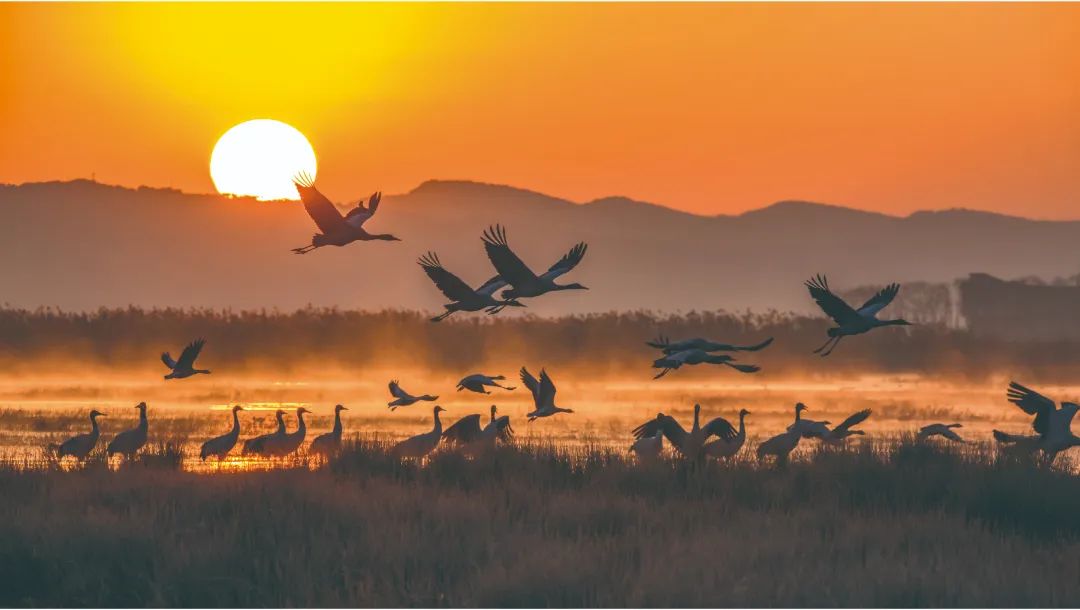 国际山地旅游联盟执行秘书长傅迎春：山地贵州的“诗与远方”