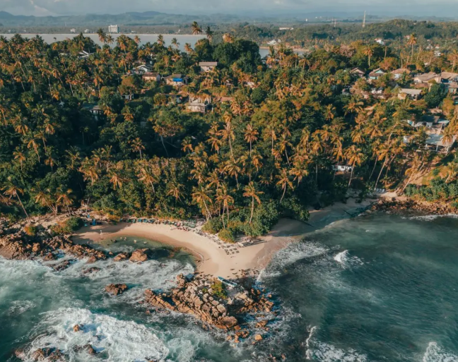 为什么推荐你8月去斯里兰卡？