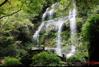 游客破2.6万人次！萤光夜游、天文观测……成都天台山活动精彩纷呈