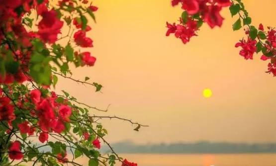 5 Reasons to visit Laos, Are you tempted?