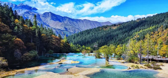 2026年春节连放9天假 假期首日机酒搜索增长翻倍