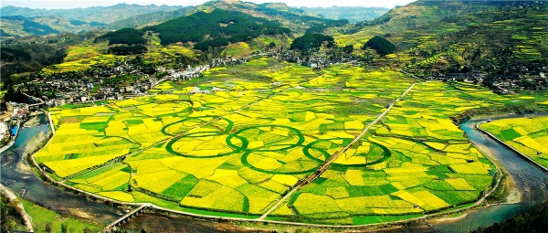 Have a spring date with Guiyang flowers