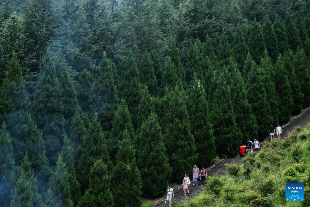 Tourism booms in Shennongjia Forest District, C China