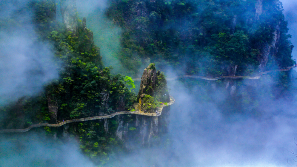 China and France are drawing the future together, and the beauty of mountains is blooming all over..