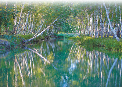 新疆哈巴河县创新搭建文旅新场景——阿勒泰，牧歌声里看草原（以文塑旅 以旅彰文）