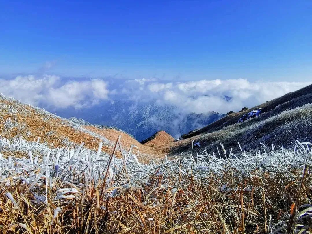 会员周报：中新两国迎来“旅游的春天”；春节旅游市场高开 全年旅游经济稳增；四大趋势探索疫情防控新政下的国内旅游市场...
