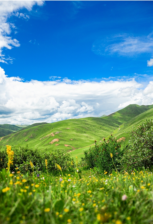 希腊网络达人来川开启安逸之旅