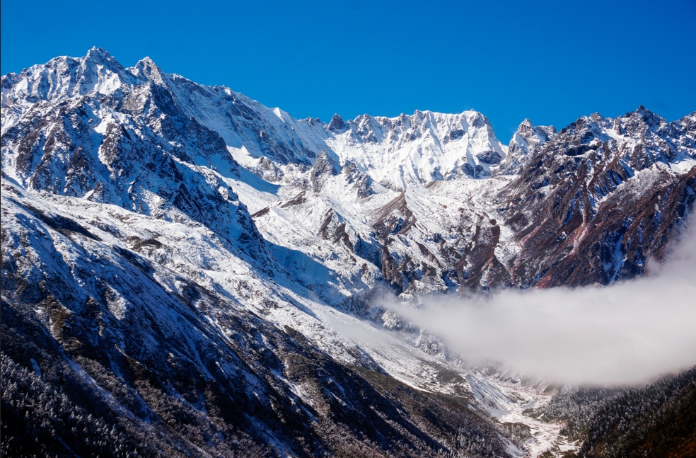 同程旅行与国航、南航等十余家航司联合推出“同程雪友卡”活动