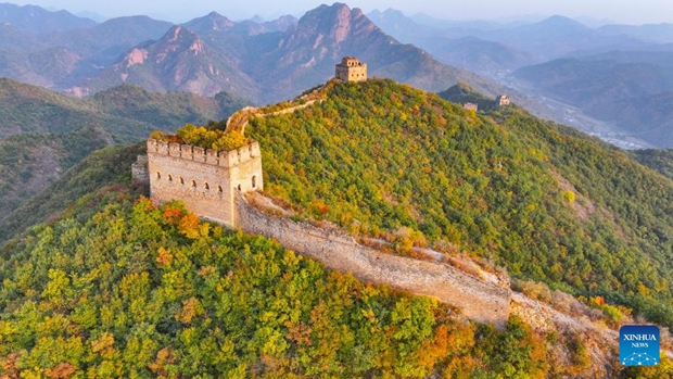 Autumn scenery of Dongjiakou section of Great Wall in Hebei, N China
