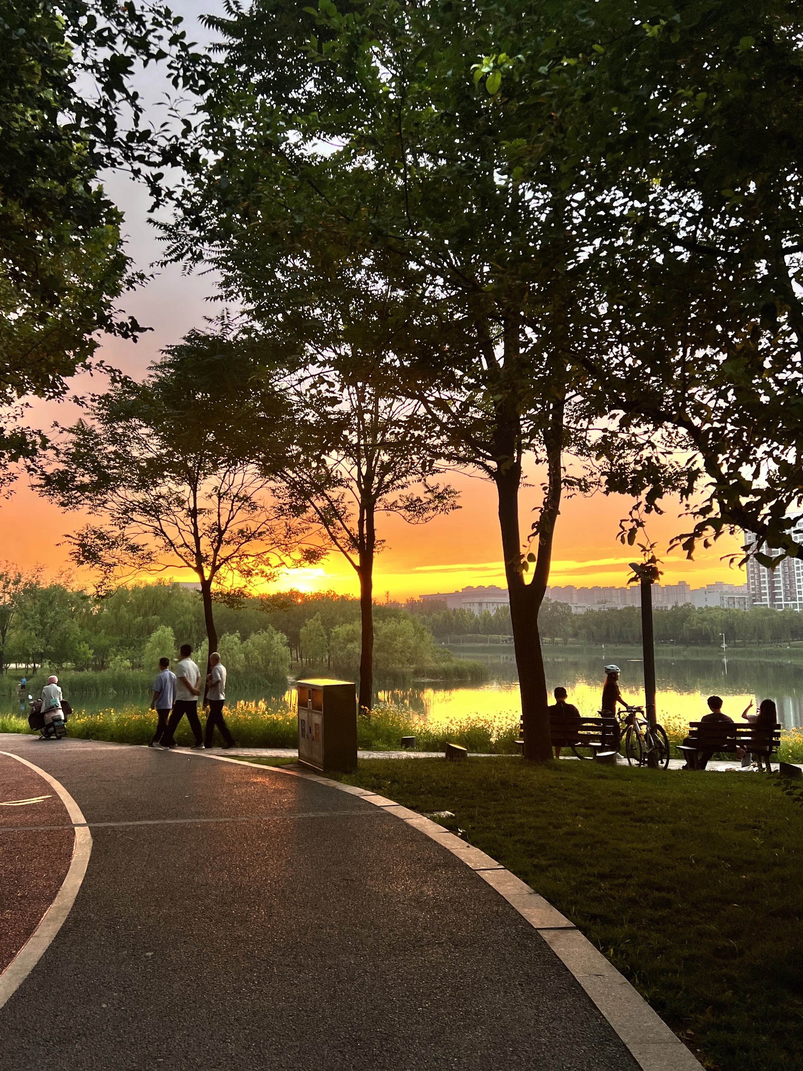 游乐设备产业起势成势 河南制造向世界输送快乐