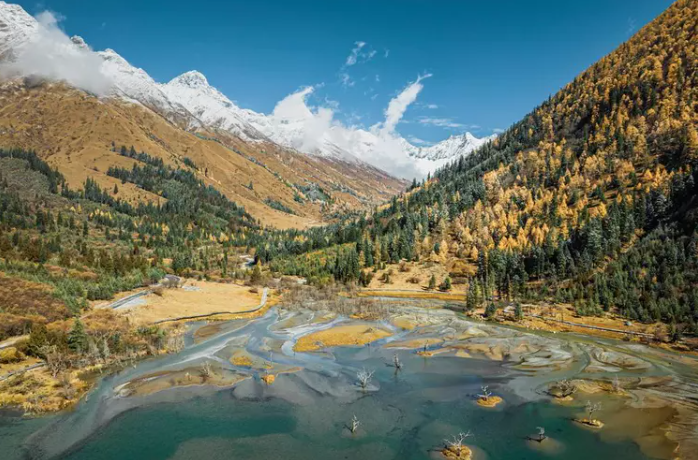 会员周报：大马旅游业已恢复70%；川渝粤港澳企业家成都共谋高质量发展新径；同程旅行发布首个乡村振兴主题数字藏品...