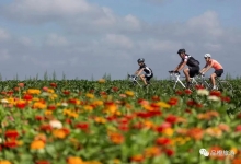 荷兰将从12月9日起加强边境检查