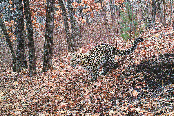 TAT launches ‘Trusted Thailand’ campaign to reinforce Chinese tourist confidence