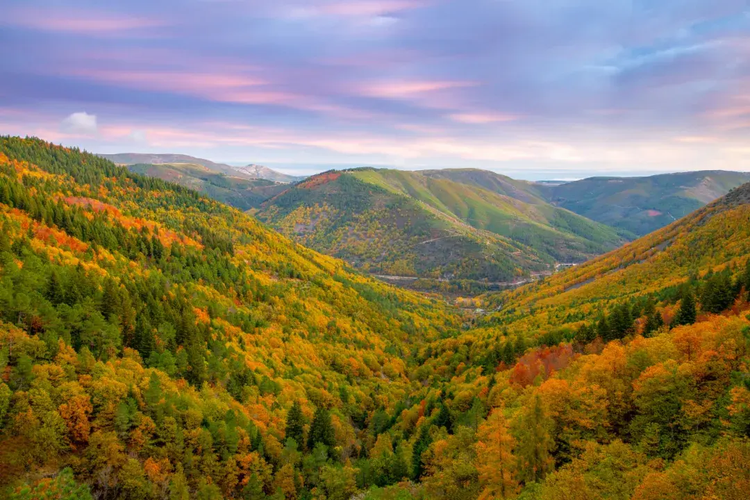 More wealthy Chinese travel abroad, redirecting domestic tourism spending