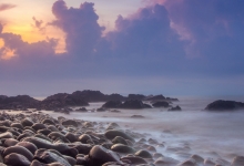 亲水、观鸟、赏花 广东湿地旅游持续升温