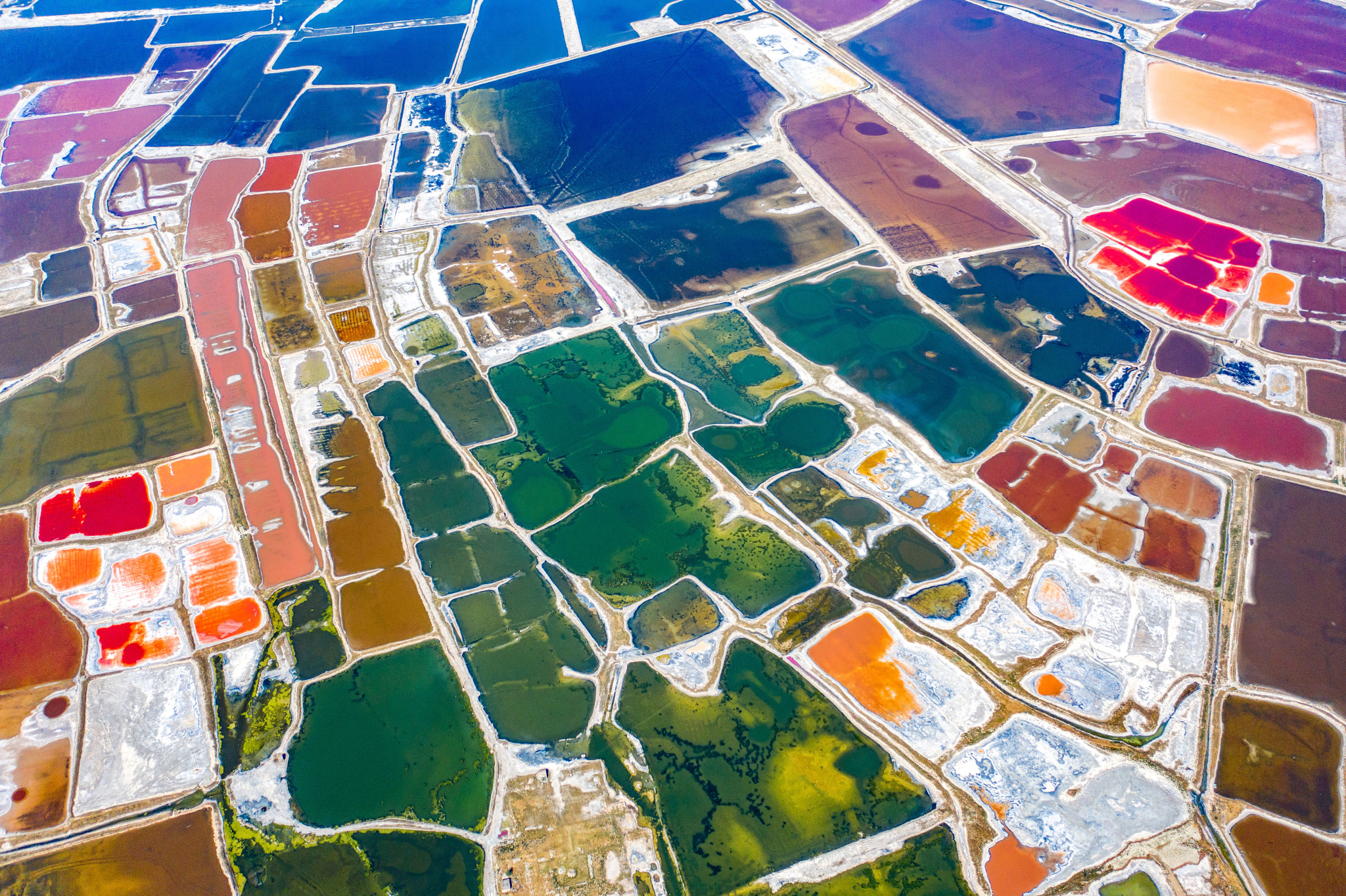 Salt lake in Shanxi boasts a vibrant rainbow of colors in summer