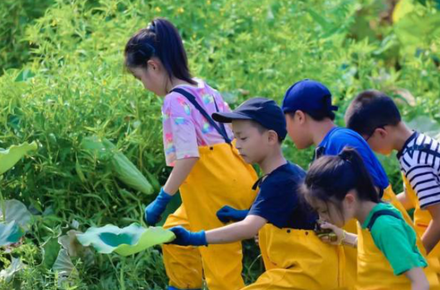 2025上海旅游节“乐游上海・亲子旅游周”启幕