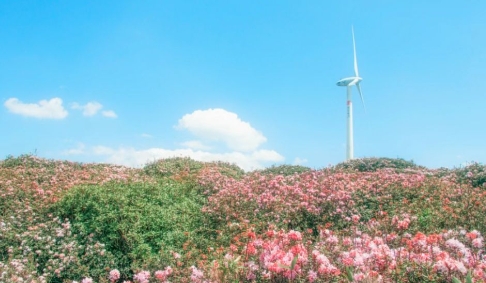 【玩转山地】二十四节气丨春分·山地觉醒