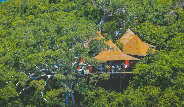 Growth is tourism industry