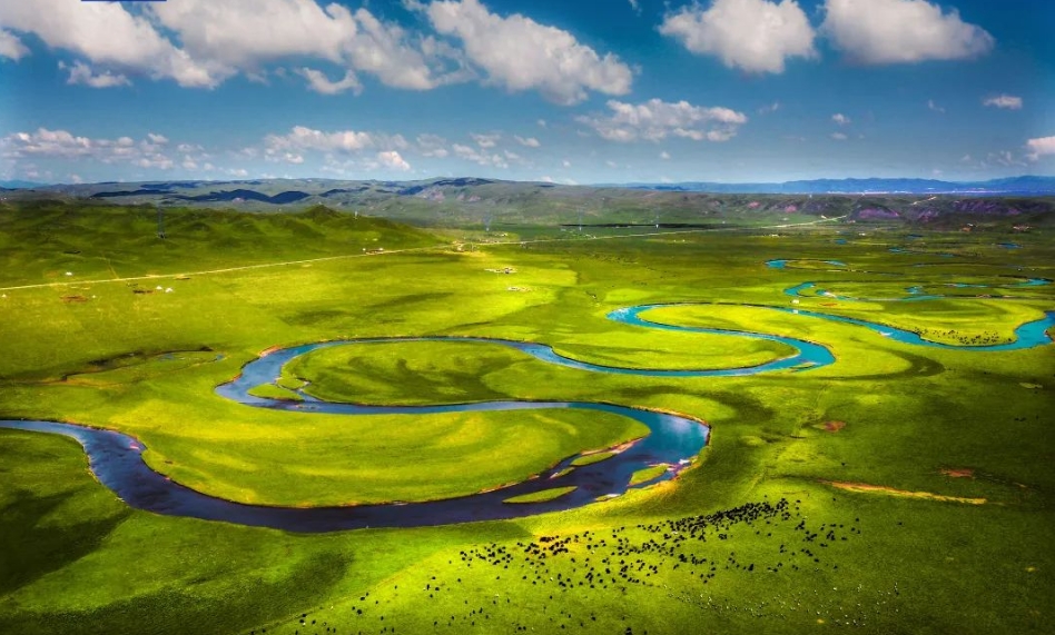 国家林草局：首批5个国家公园带动近5万人实现家门口就业