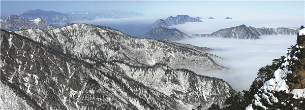 A green path to biodiversity