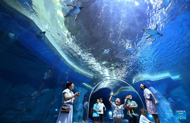 Tourists travel off-peak after National Day holiday to S China