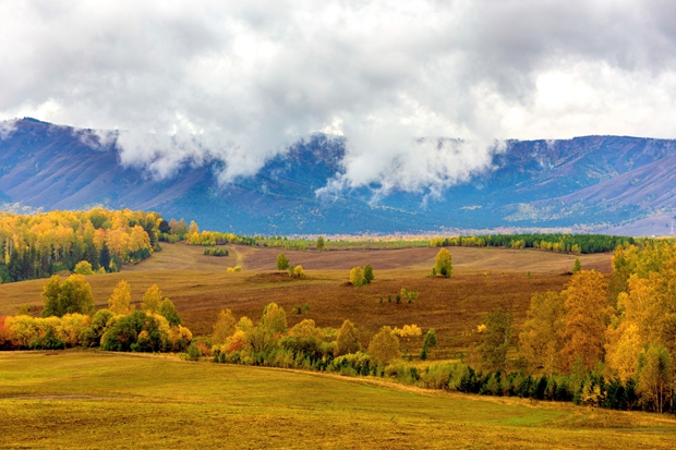 Huangshan Tourism Development Co., Ltd. established a “Tourism Marketing Service Base”