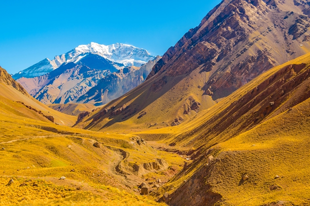 Travel industry shifts from conversational to operational AI in 2025