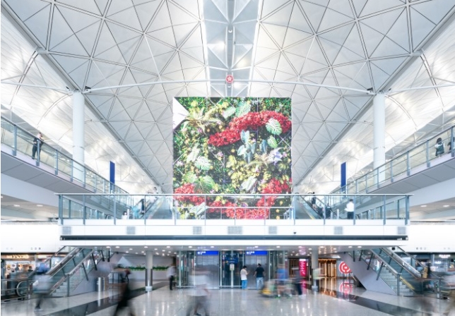 香港再放宽离境税豁免 惠及数百万中转旅客