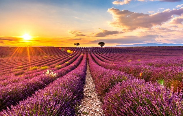 第七届中法文化论坛闭幕 开辟中法文化交流新格局