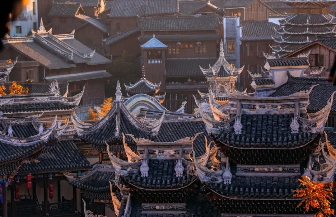 Belgians harvest the good life in Guizhou