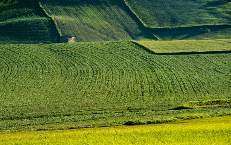 山地二十四节气丨小满·未满