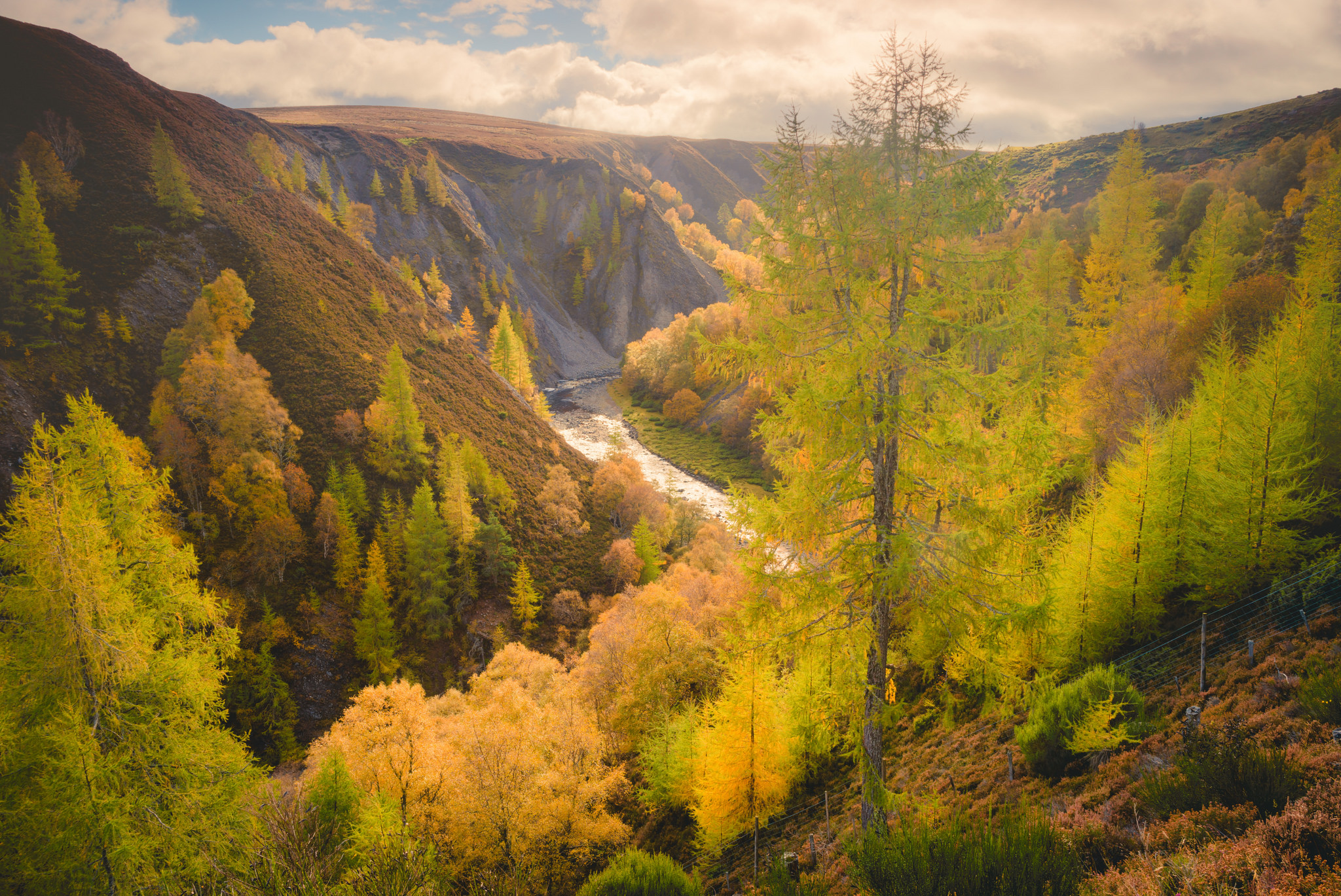 【英国最大的国家公园】英国凯恩戈姆斯国家公园