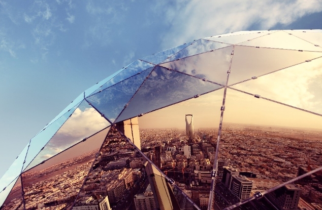 沙特旅游局推出限定旅游套餐