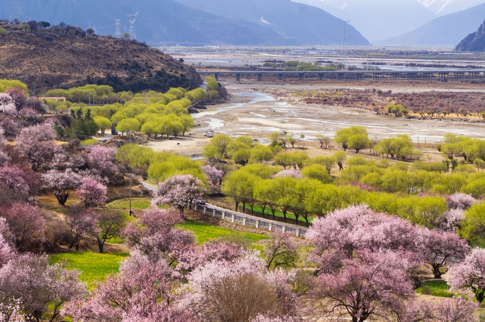 西藏林芝鲁朗景区开展文旅主题推广活动
