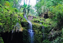 “公园20分钟效应”火爆盛夏 年轻人被大自然治愈