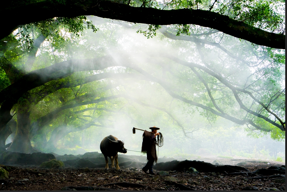 清明假期中国大部地区适宜旅游出行