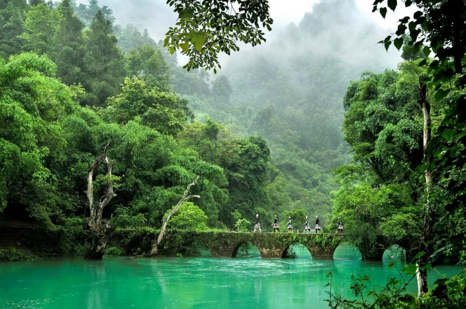 杨长青：架起中西合作桥梁，共绘山地旅游发展新篇
