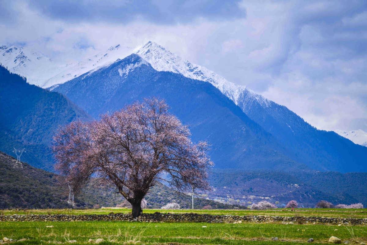 Best spring destinations in Tibet