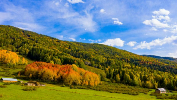 中国最美的秋天在哪里？