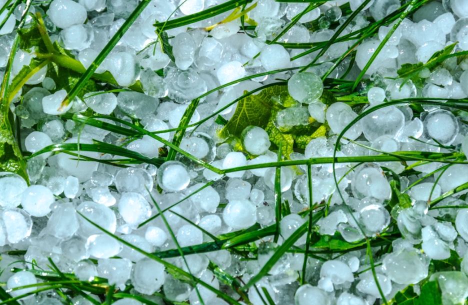 鸡蛋一样大的冰雹！今年天气为什么那么极端？