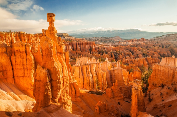 Airbnb: “Combining Leave to Avoid Peak Travel” Dominates Spring Festival Plans, New Zealand and Norway Emerge as New Favorites