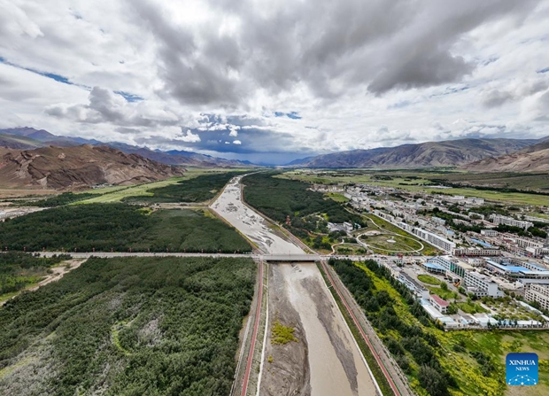 In pic: sea buckthorn forest in China